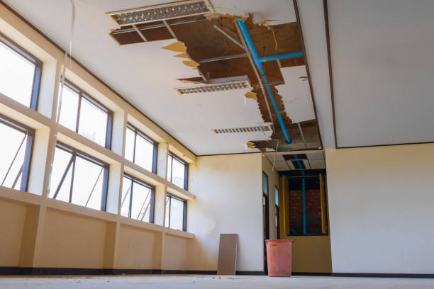 Best Water damage restoration cost  in Black Earth, WI