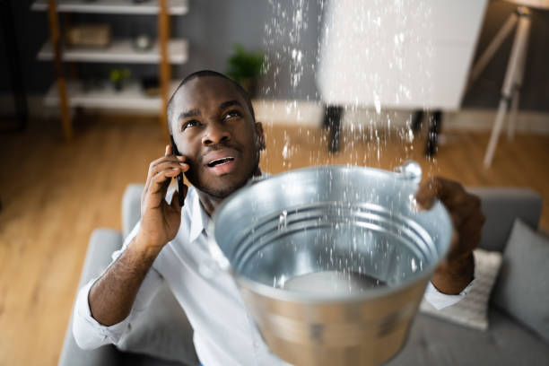 Best Basement water damage restoration  in Black Earth, WI