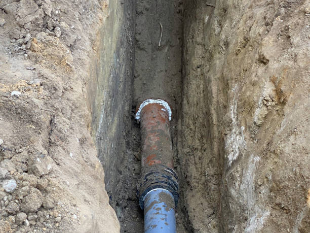 Best Professional water damage repair  in Black Earth, WI