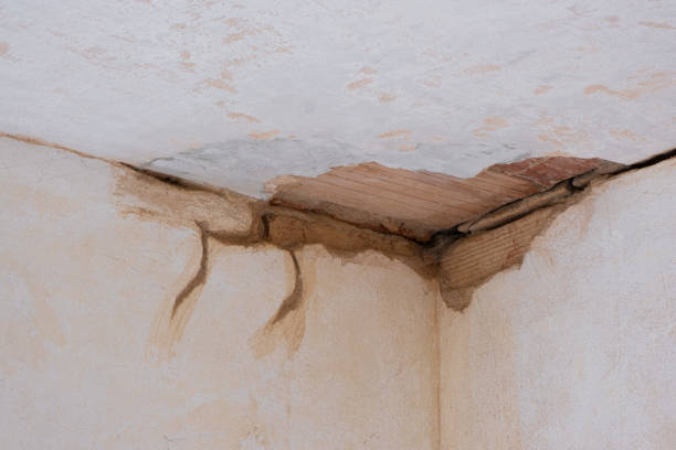 Best Water damage restoration near me  in Black Earth, WI