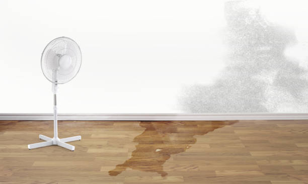 Best Emergency water damage restoration  in Black Earth, WI