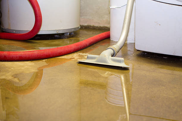 Best Carpet water damage restoration  in Black Earth, WI