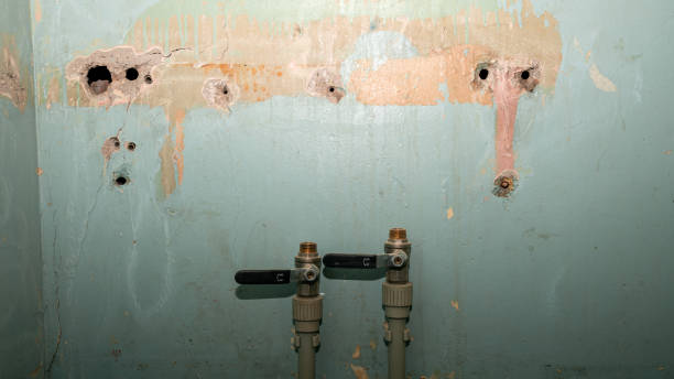 Best Flood restoration services  in Black Earth, WI