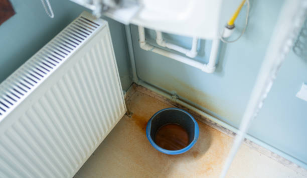 Best Water damage cleanup near me  in Black Earth, WI