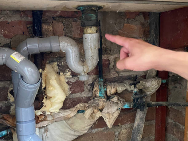 Best Ceiling water damage repair  in Black Earth, WI