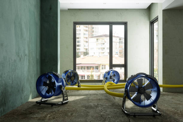 Best Professional water damage repair  in Black Earth, WI